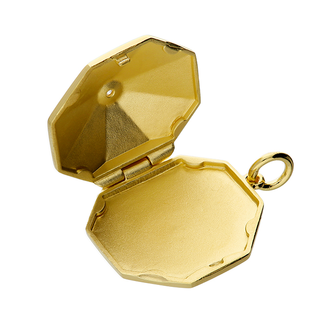 Sunshine Octagonal Northstar Locket and Chain - John Ross Jewellers