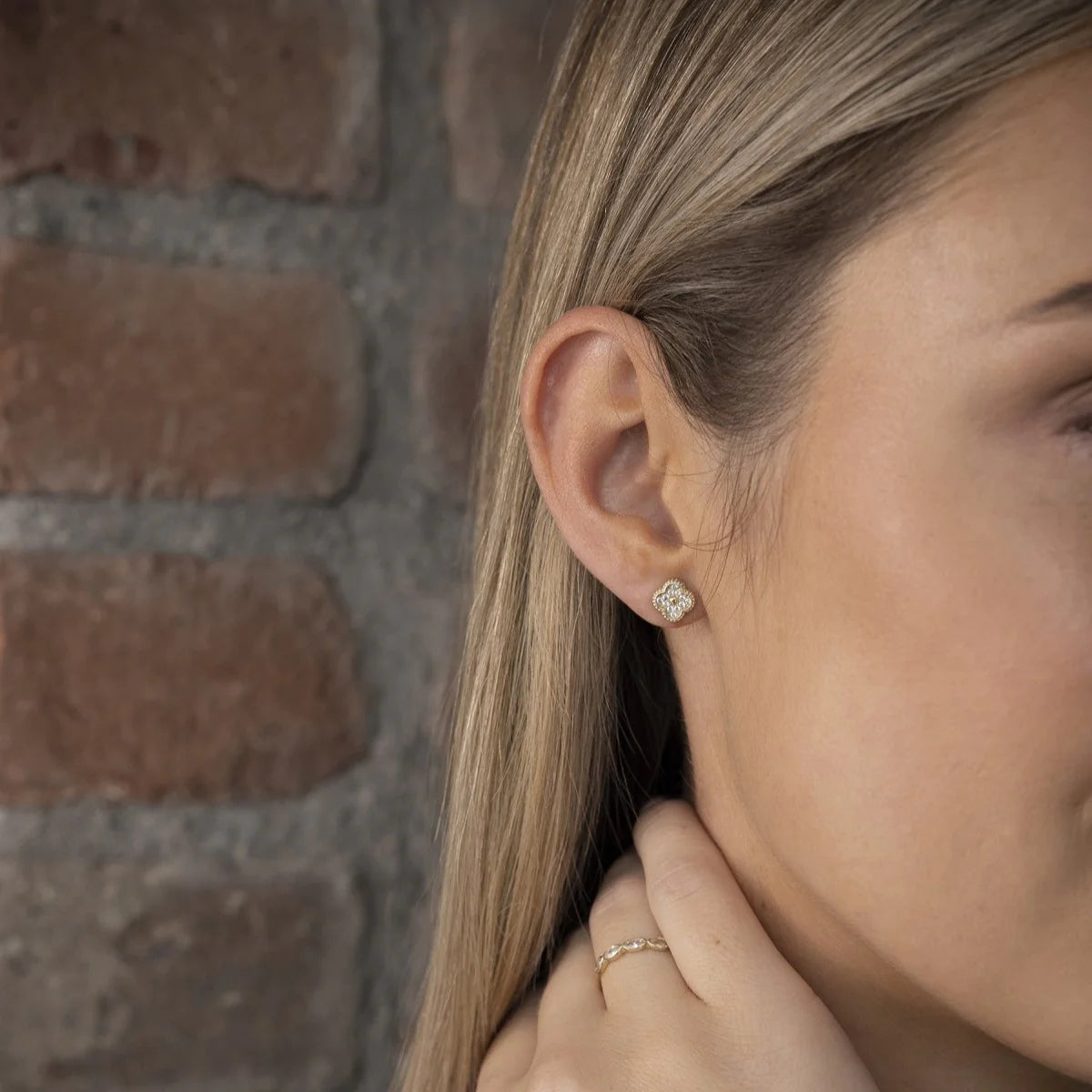 9ct Gold Pretty CZ Quatrefoil Stud Earrings - John Ross Jewellers