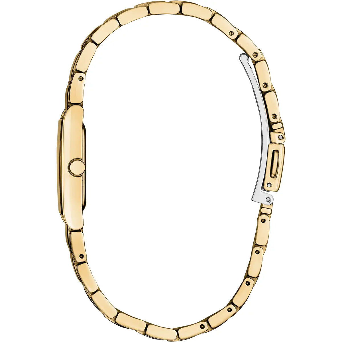Citizen Axiom Gold Ecodrive Ladies Watch