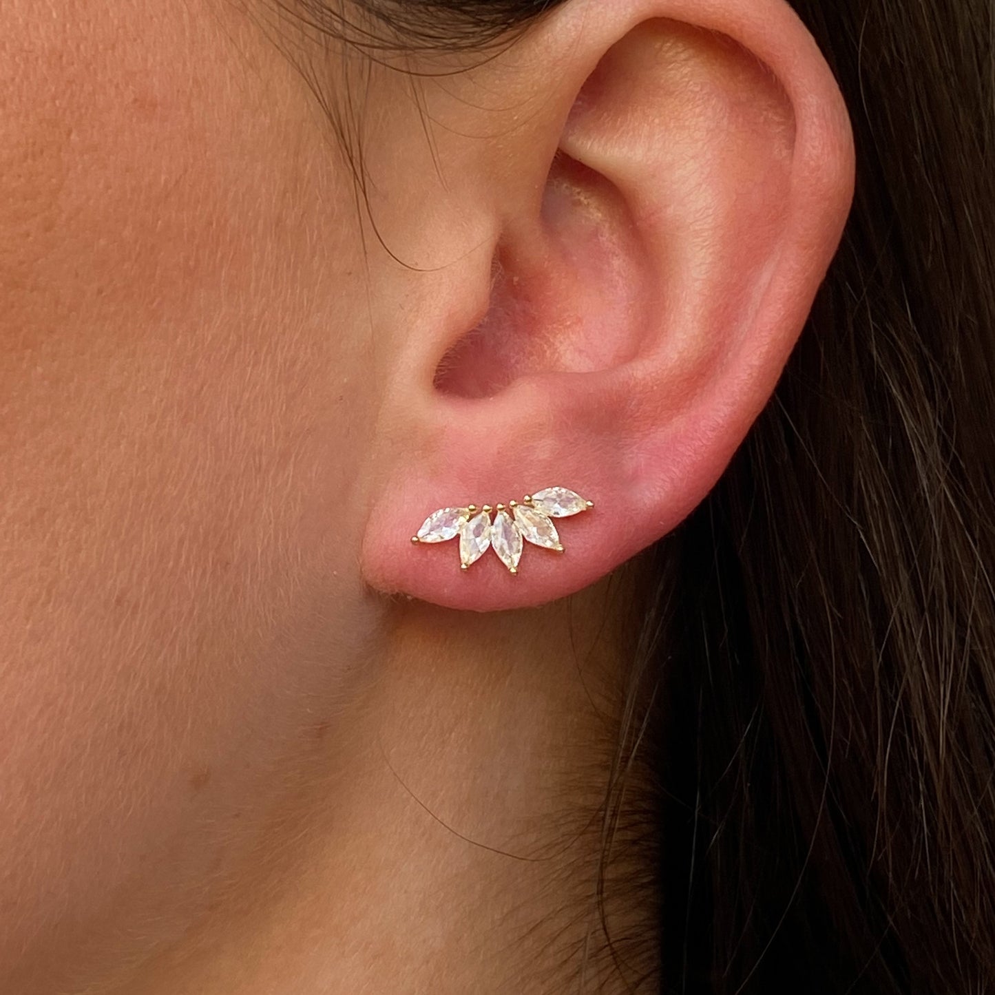 Sunshine CZ Fan Climber Stud Earrings