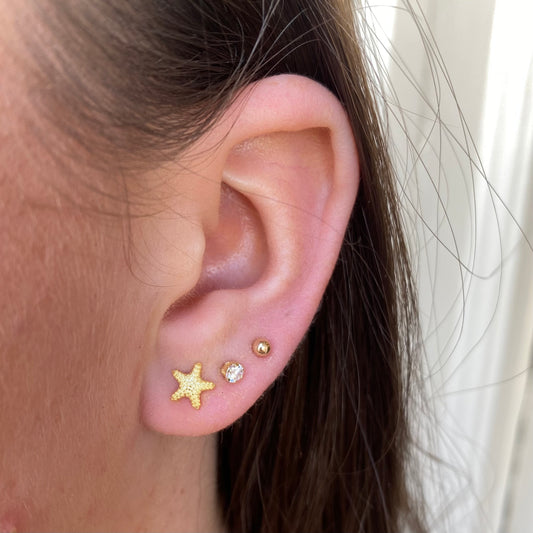 Sunshine Starfish Stud Earrings - John Ross Jewellers