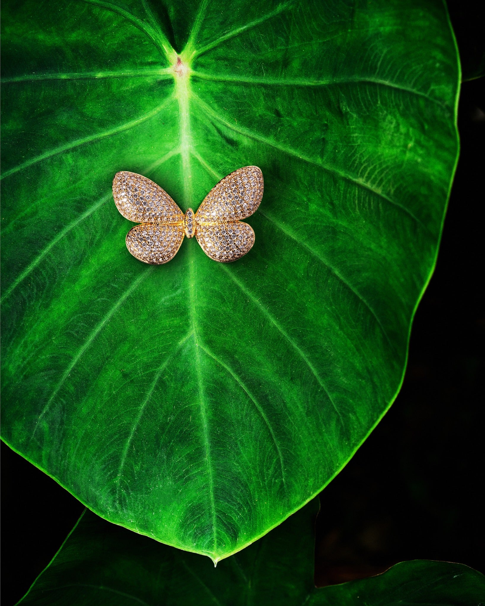 REBECCA Urban Jungle | Butterfly Ring - John Ross Jewellers