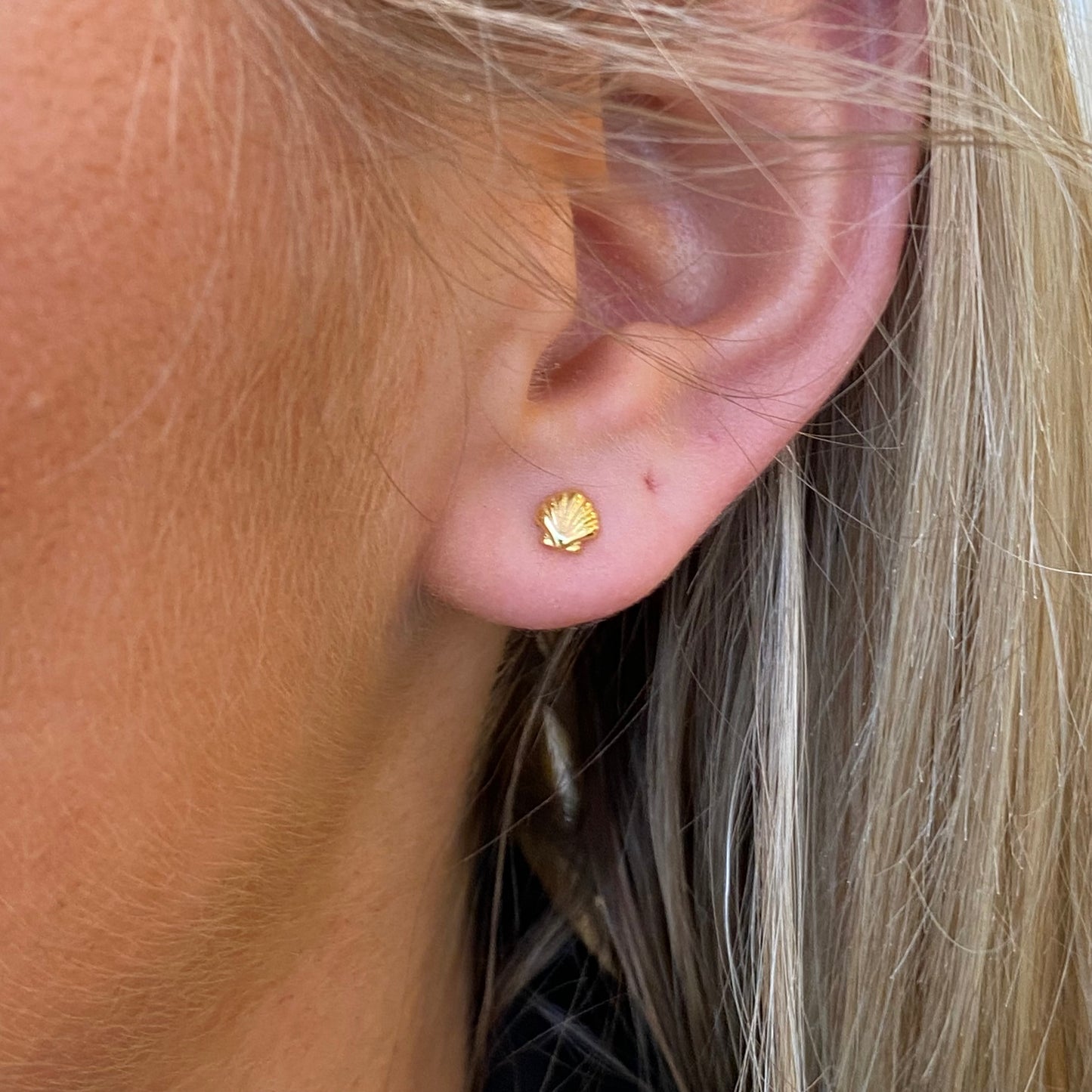 Kid's Sunshine Shell Stud Earrings by Comero featuring small, shiny shell studs perfect for young children.