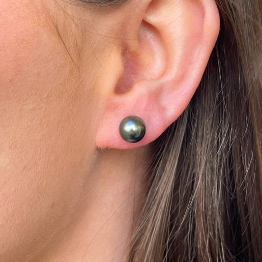 14ct White Gold Dark Green Tahiti Pearl Stud Earrings | 8-9mm - John Ross Jewellers
