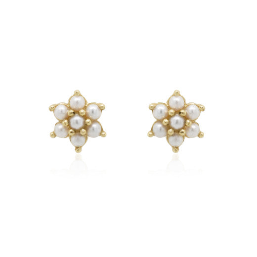 9ct Gold Freshwater Pearl Cluster Stud Earrings - John Ross Jewellers