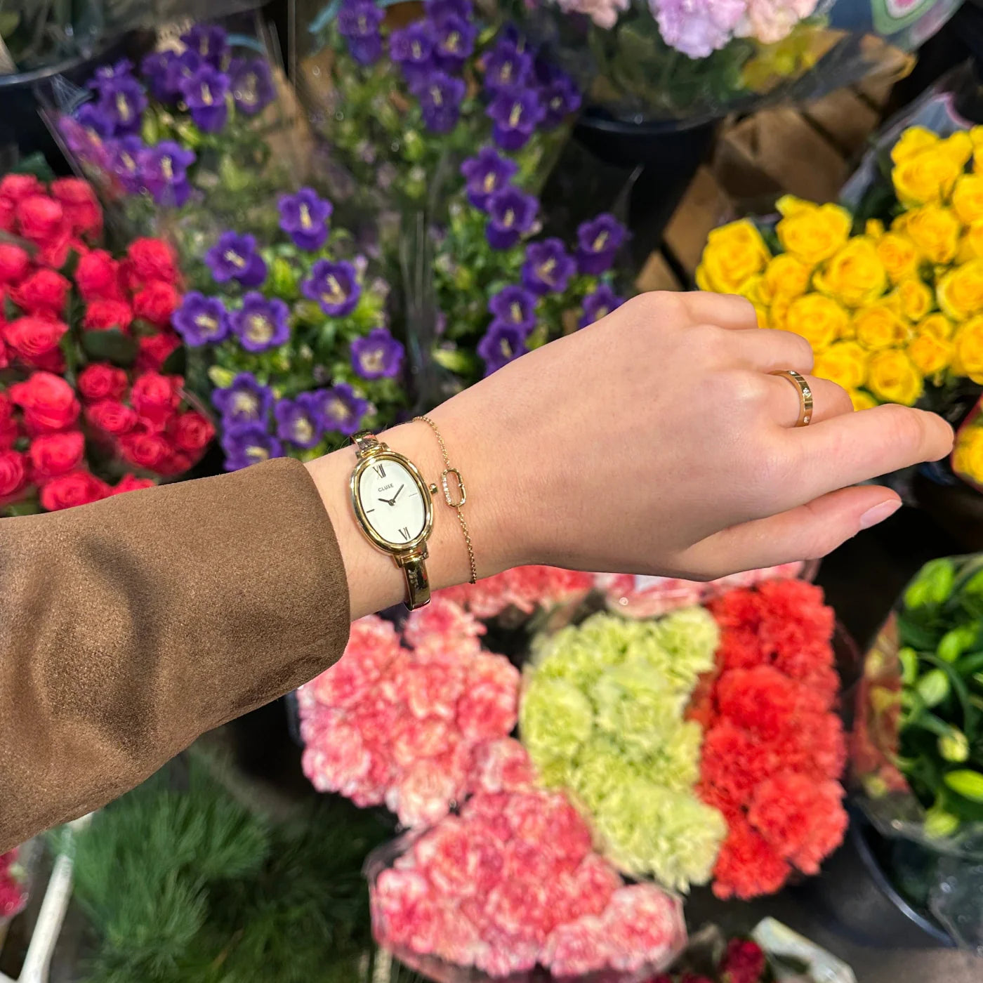 CLUSE L'Ovale Gold - John Ross Jewellers