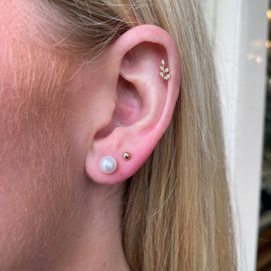 18ct White Gold 6mm Akoya Pearl Earrings - John Ross Jewellers