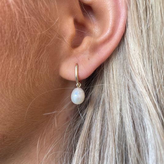 9ct Gold Freshwater Pearl Hoop Earrings - John Ross Jewellers