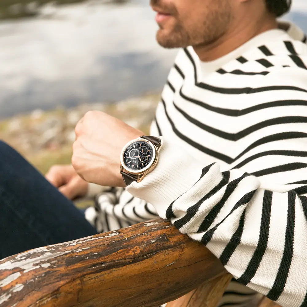 Citizen Calendrier World Time Watch - John Ross Jewellers