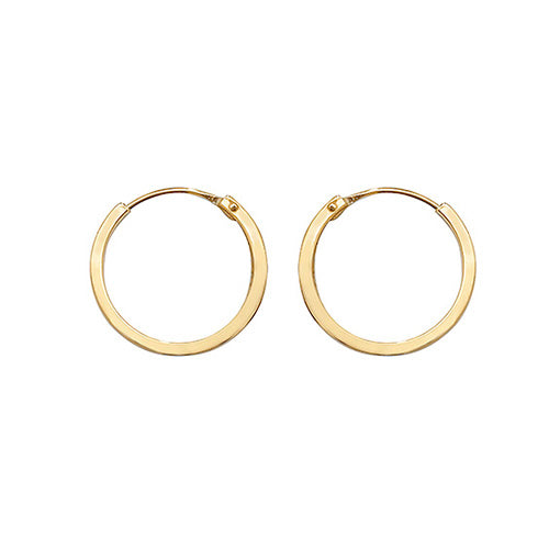 9ct Gold 10mm Sleeper Earrings