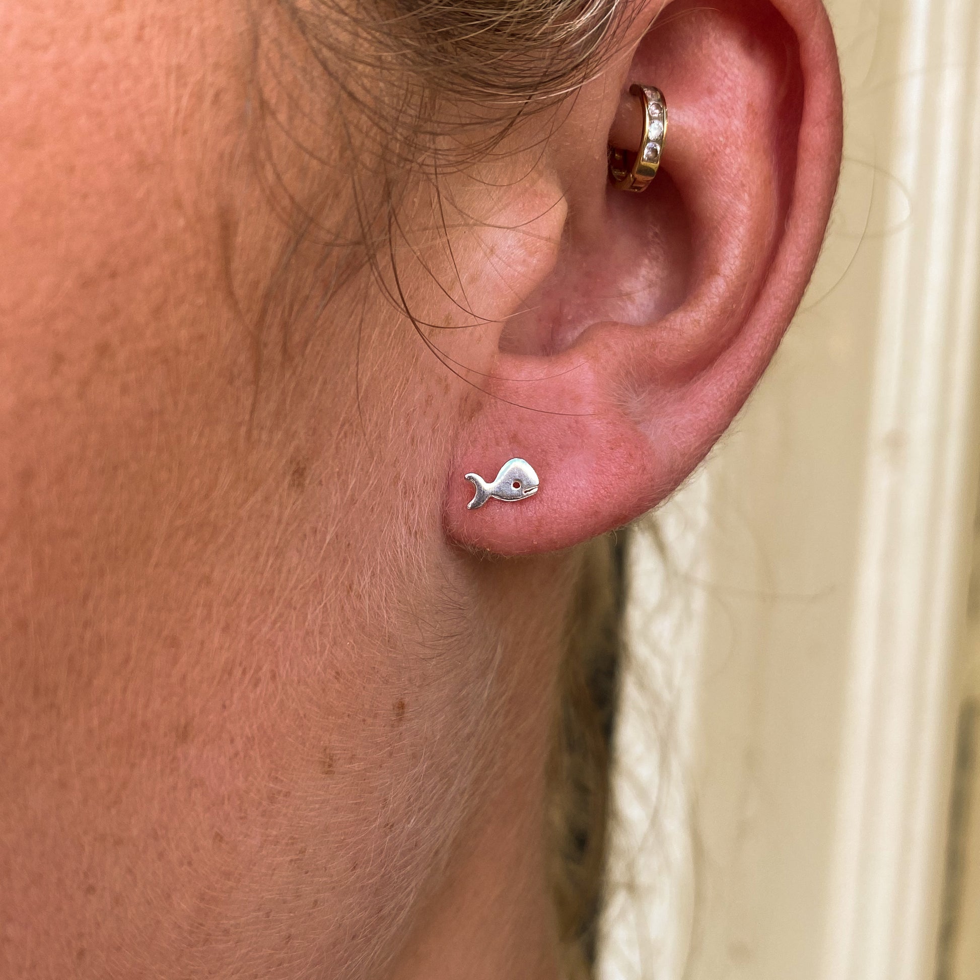 Whale Stud Earrings - John Ross Jewellers