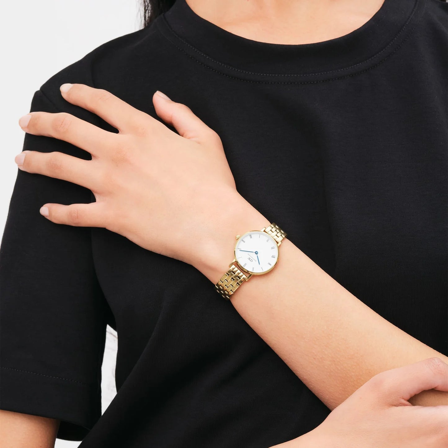 Daniel Wellington Petite Roman Numerals 5-Link Evergold | 28mm - John Ross Jewellers