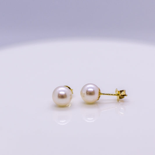 18ct Gold 6mm Akoya Pearl Earrings - John Ross Jewellers