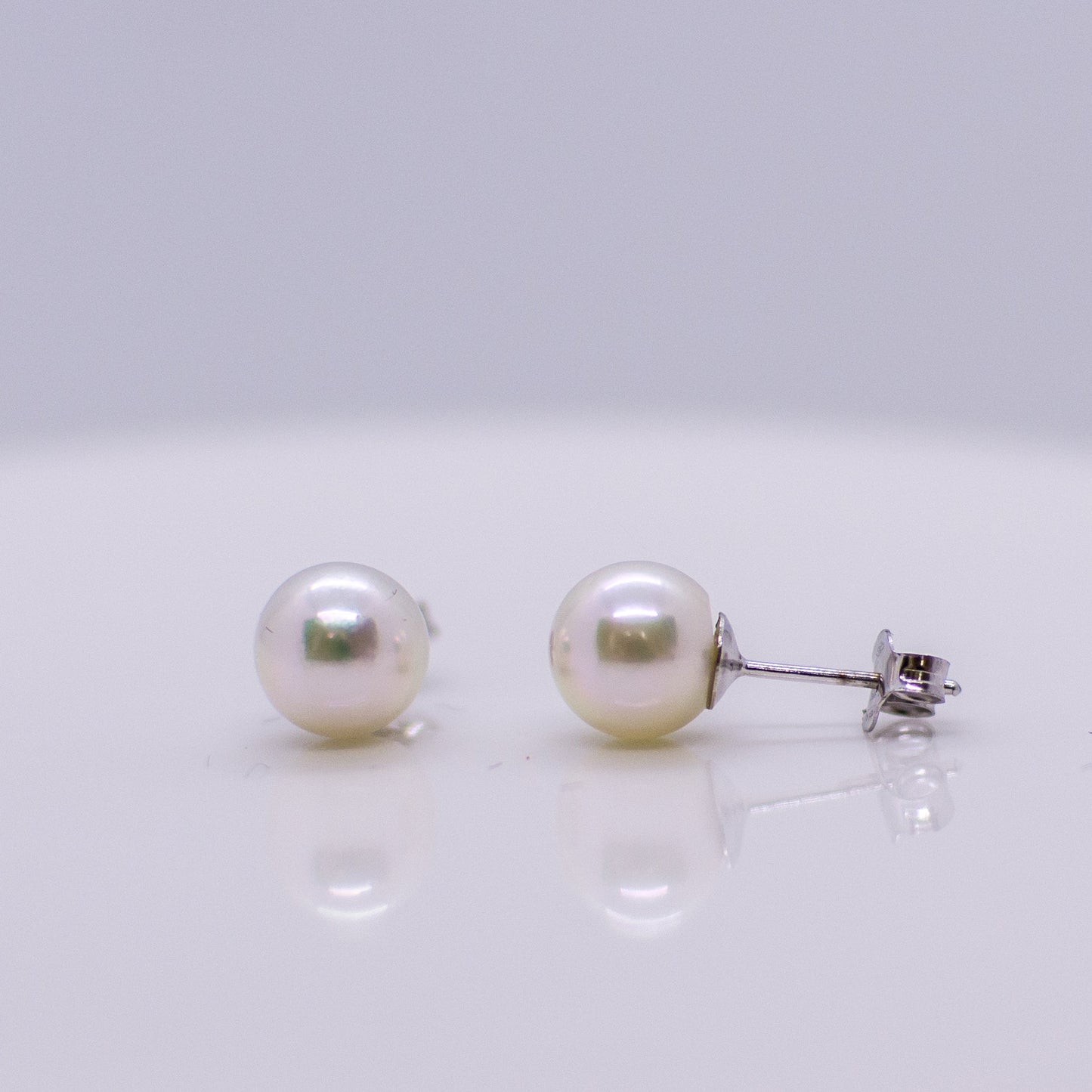 18ct White Gold Akoya Pearl Earrings 7mm - John Ross Jewellers
