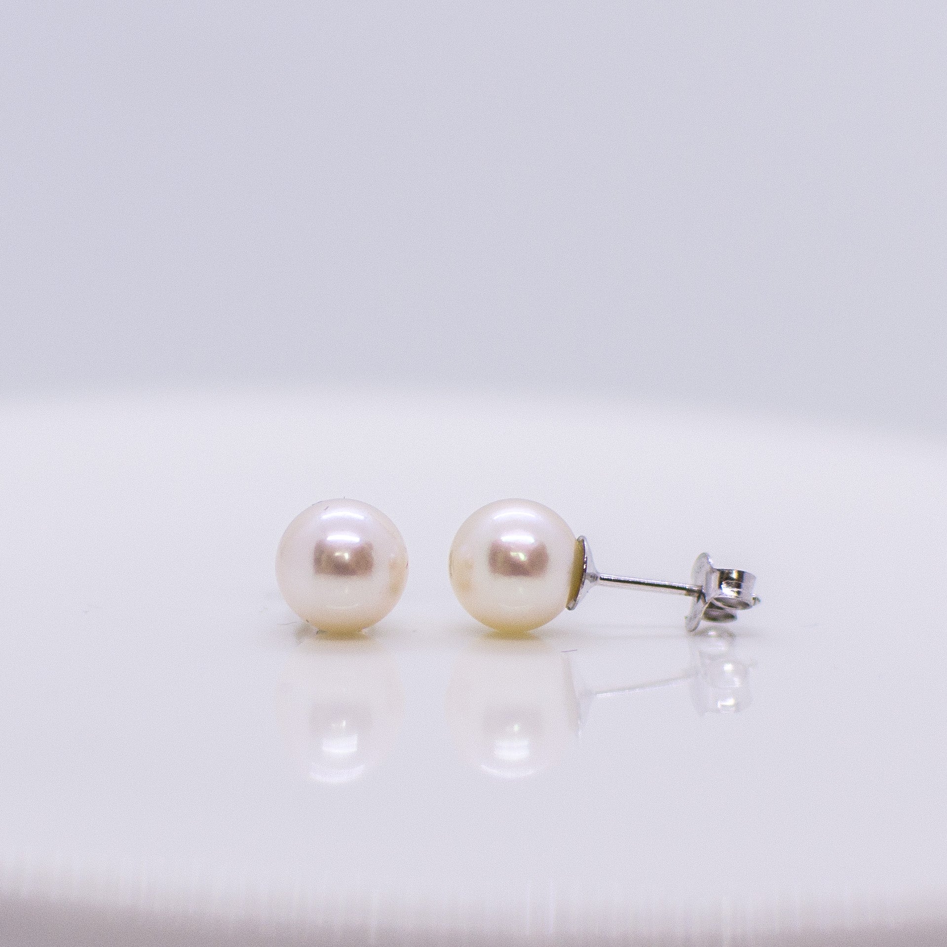 18ct White Gold 6mm Akoya Pearl Earrings - John Ross Jewellers