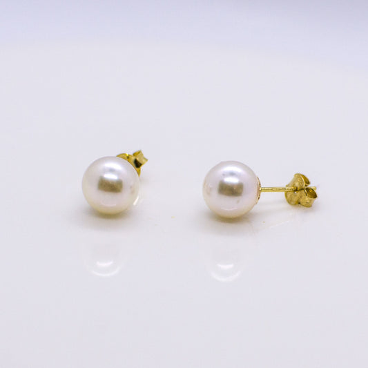 18ct Gold 7-7.5mm Akoya Pearl Earrings - John Ross Jewellers