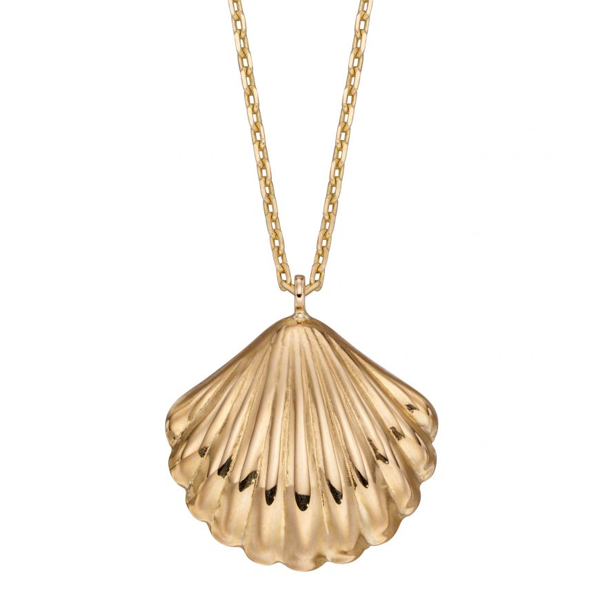 9ct Gold Shell Necklace - John Ross Jewellers