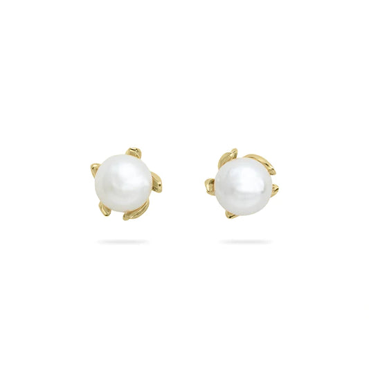 14ct Gold Pearl Stud Earrings - John Ross Jewellers