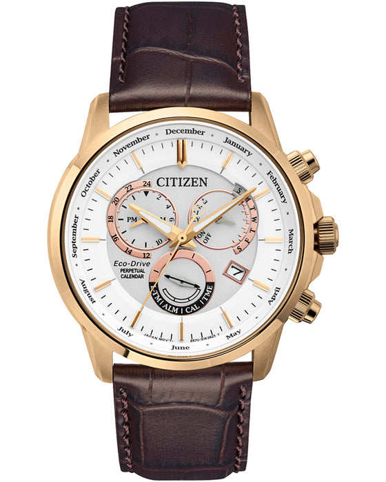 Citizen Calibre 8700 Perpetual Calendar Watch - John Ross Jewellers
