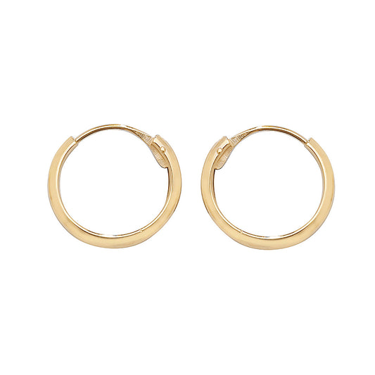 9ct Gold 10mm Sleeper Earrings | D Shaped - John Ross Jewellers